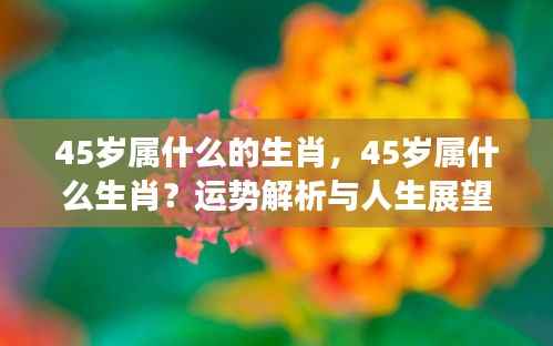 45岁属相运势解析与人生展望