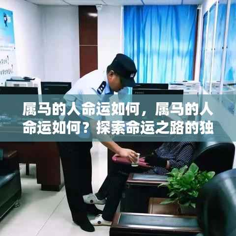 属马人的命运探索，独特轨迹与人生展望