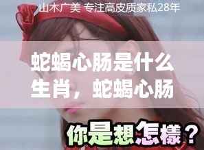 蛇蝎心肠生肖揭秘，探寻背后的真相