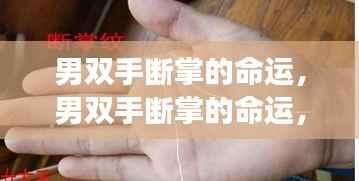 男双手断掌的命运，星象指引下的独特人生轨迹探索