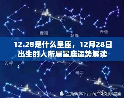 12月28日星座运势解读，探寻星座运势与性格特征之路