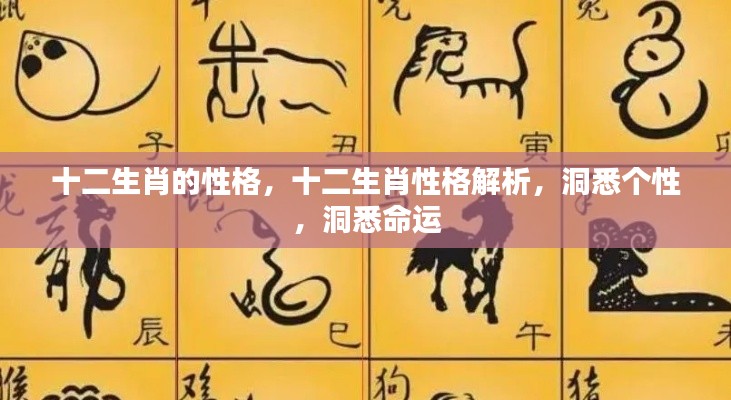 十二生肖性格深度解析，个性与命运洞悉指南
