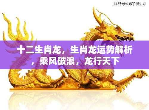 生肖龙运势解析，乘风破浪，龙行天下运势展望
