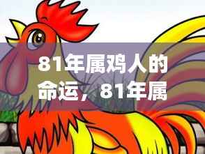 81年属鸡人的命运展望与个性深度解析