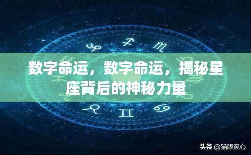 揭秘星座背后的神秘力量，数字命运探索之旅
