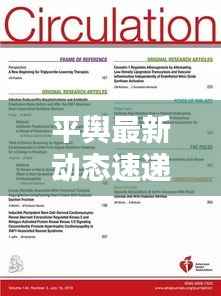 平舆最新动态速递，今日热点消息一网打尽