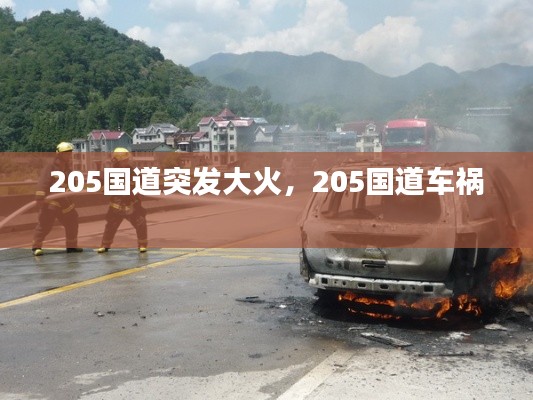 205国道突发大火，205国道车祸 