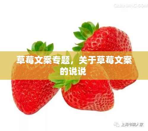 草莓文案专题，关于草莓文案的说说 