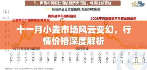 十一月小麦市场风云变幻，行情价格深度解析